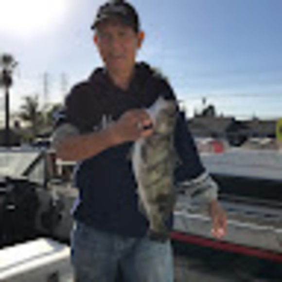 Meet your Posher, Oscar - Picture 1 of 1